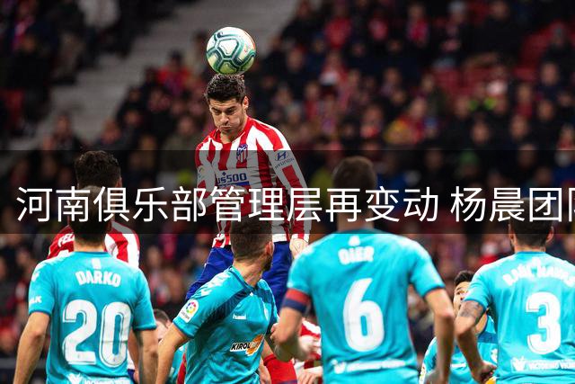河南俱乐部管理层再变动 杨晨团队离职背后隐情